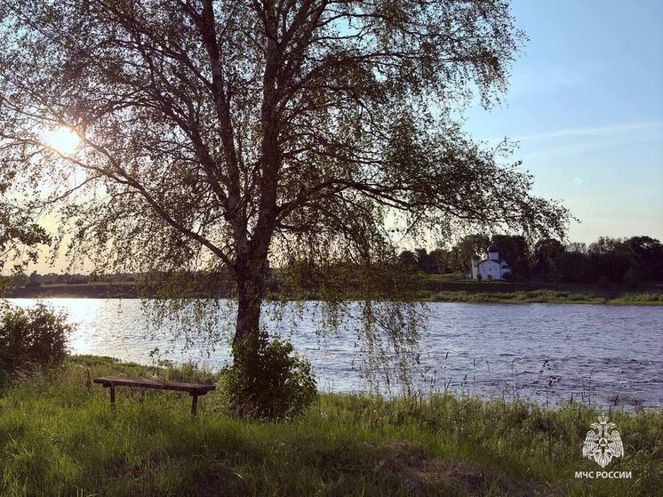 Правила безопаснорго костра рассказали псковичам