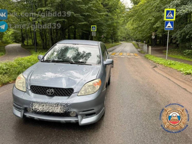 В Калининградской области сбили двух пешеходов