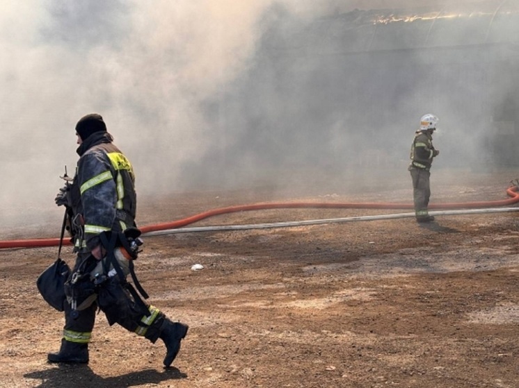В Волгограде пожар на рынке «Национальный» полностью ликвидировали