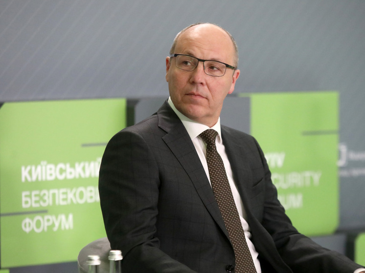 Депутат ДНР Литвинов: киевский режим мог ликвидировать Парубия из-за его политического веса