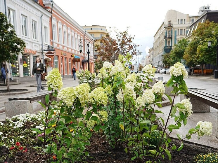 В Самаре на улице Ленинградской высадят сотни растений