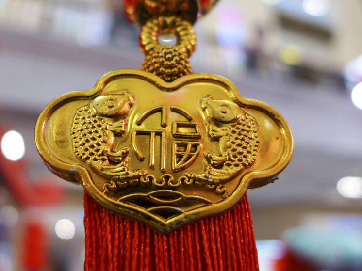 Си Цзиньпин призвал укреплять сотрудничество КНР и Индии