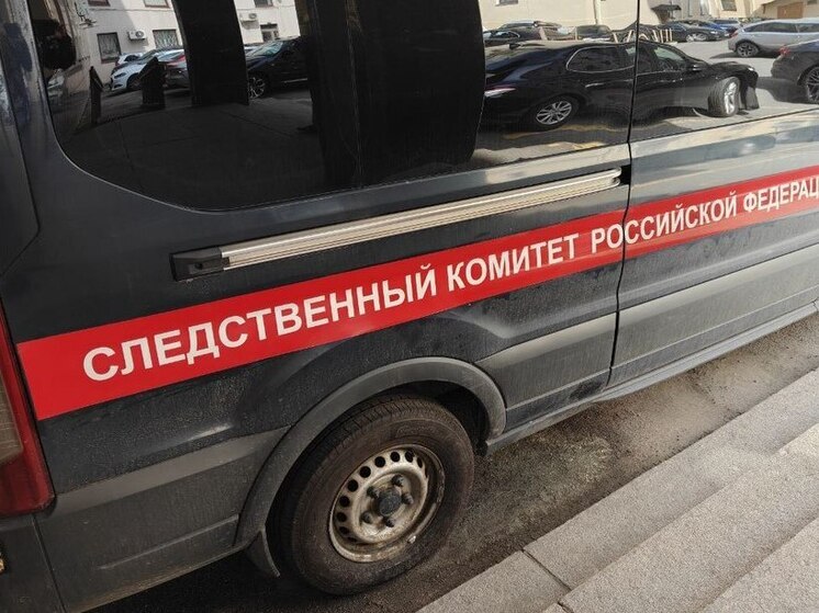 Следователи разбираются в истории с избиением школьницы сверстниками в Петербурге