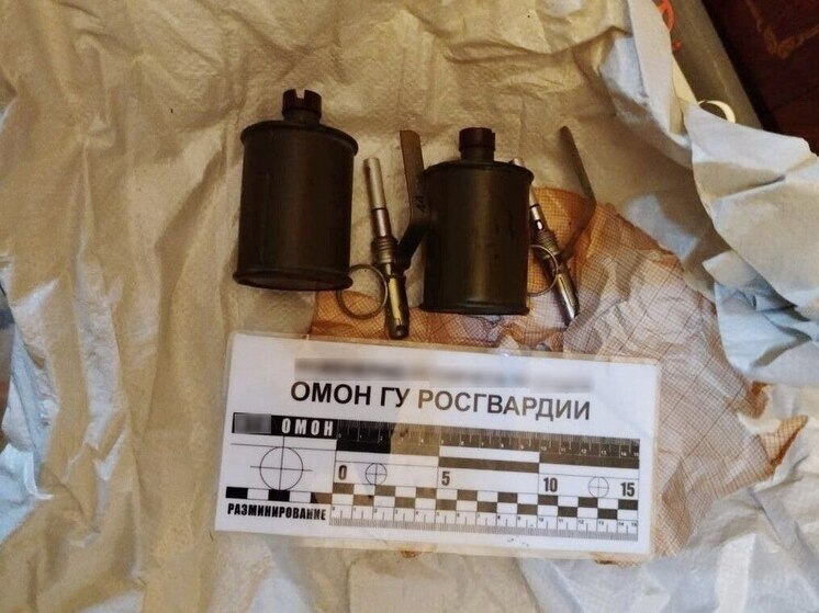 При ремонте квартиры в Гатчине нашли гранаты времен СССР