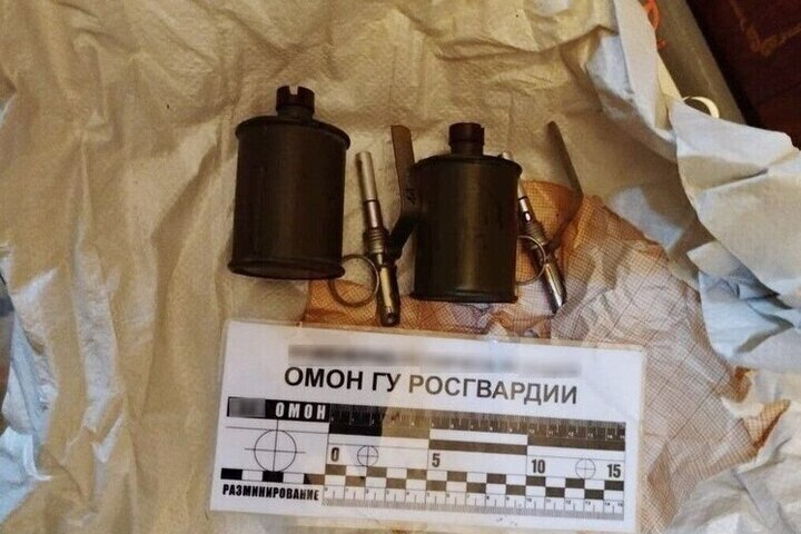Россиянка обнаружила две гранаты при ремонте квартиры