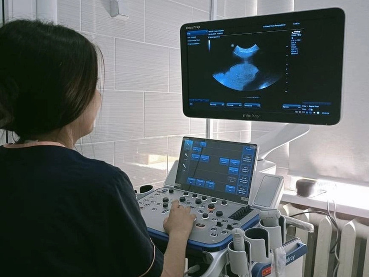 Василий Анохин поздравил ветеринаров с профессиональным праздником