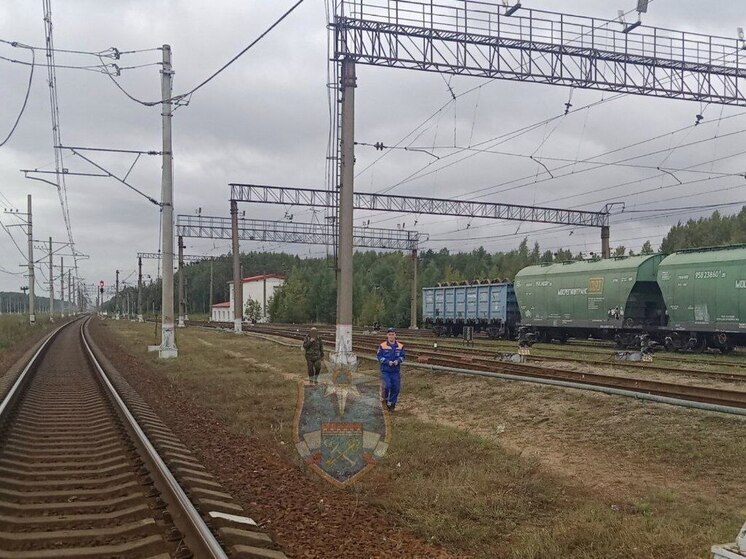 В Тосненском районе спасатели искали мужика-потеряшку в лесу