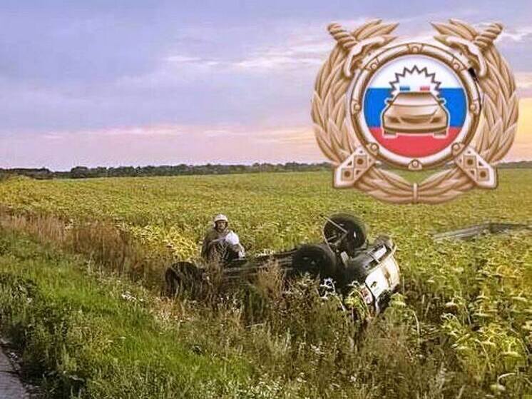 В Петровском районе внедорожник вылетел в кювет