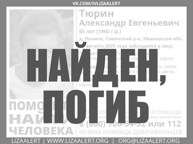 Найдено тело пропавшего в ивановском лесу грибника