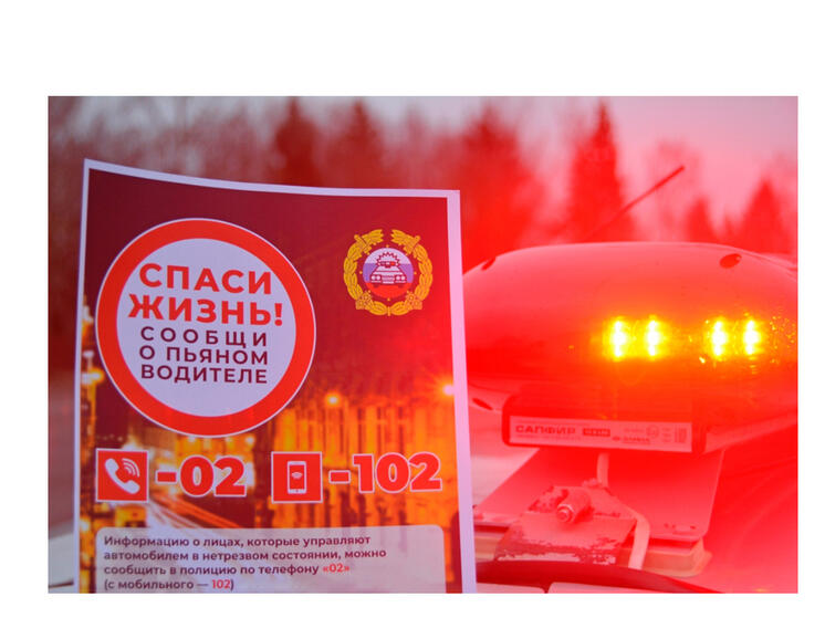 В Смоленском районе задержали пьяного водителя, ранее лишенного прав