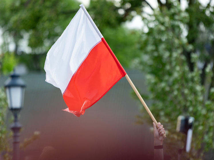 Украинца, грозившего поджогами из-за отмены выплат, депортировали из Польши