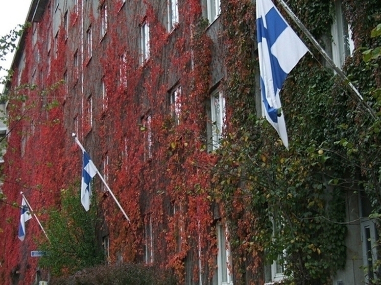 В Финляндии пройдет флешмоб в поддержку открытия границы с Россией