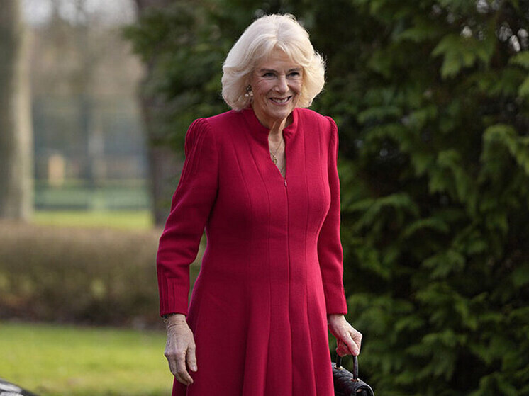 В юности королеву Британии Камиллу пытались изнасиловать в поезде