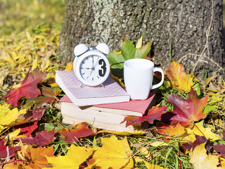 Дожди, и грозы ожидают томичей в День знаний: погода на 1 сентября