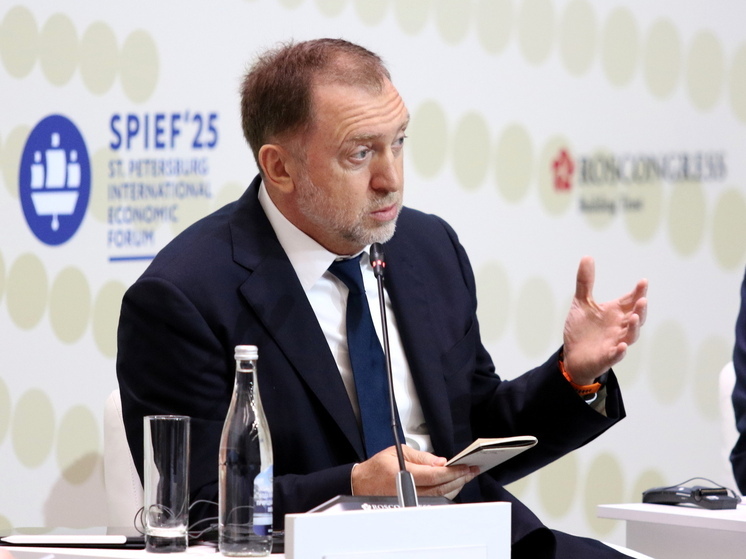 Дерипаска: ЕС незаконно использует 300 млрд евро замороженных российских активов