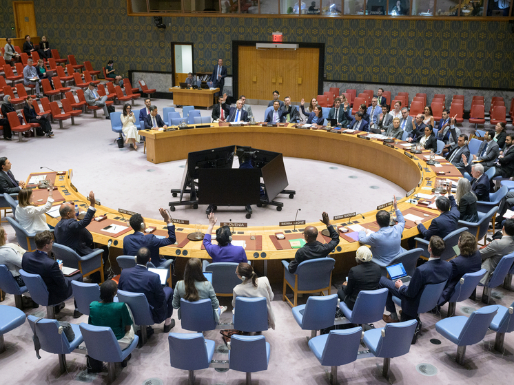 AP: хуситы задержали сотрудника Всемирной продовольственной программы ООН