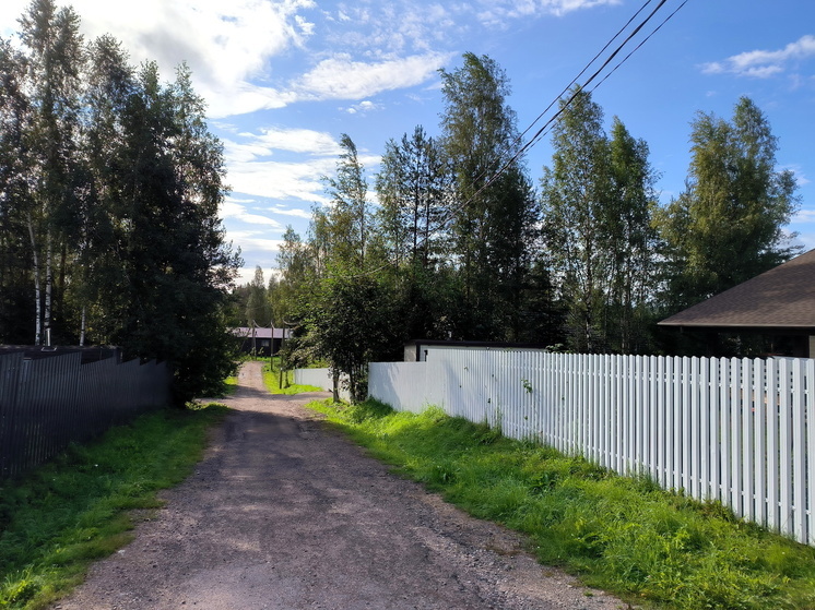 В России с 1 сентября запретили вести бизнес на дачах и наем для сбора урожая