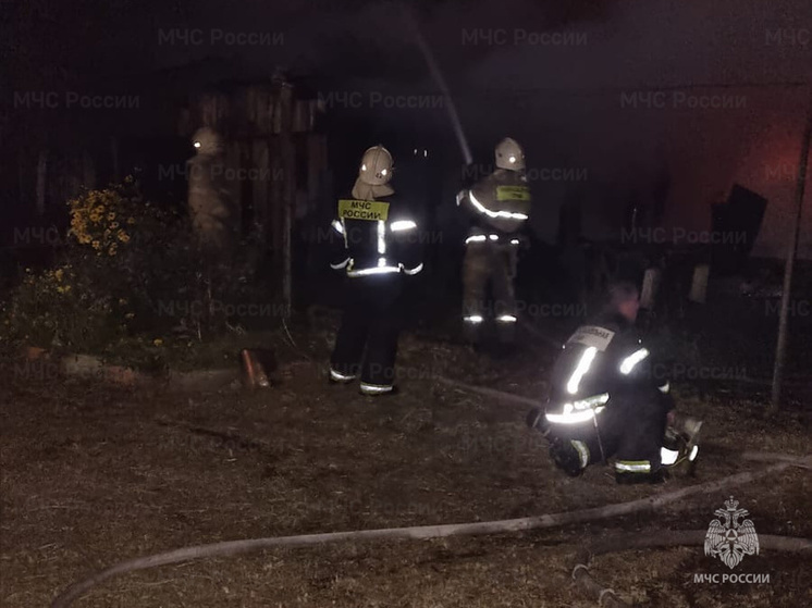 Тринадцать спасателей тушили одну хозпостройку в Козельске