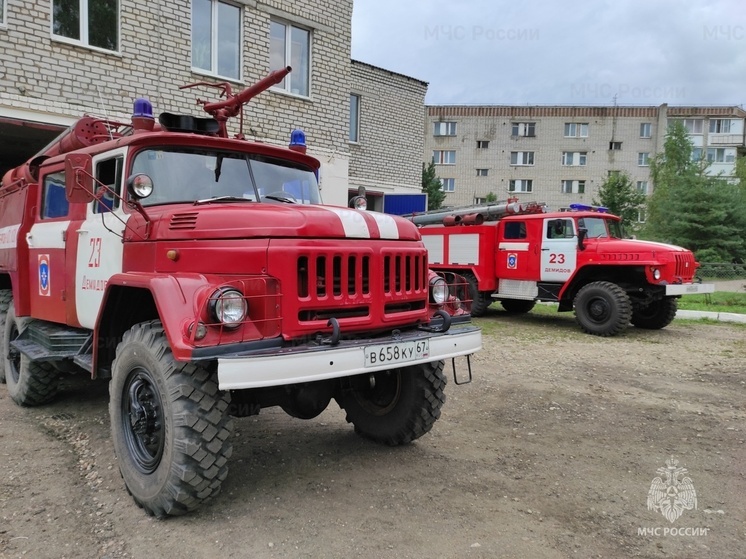 В Демидовском районе горел частный дом