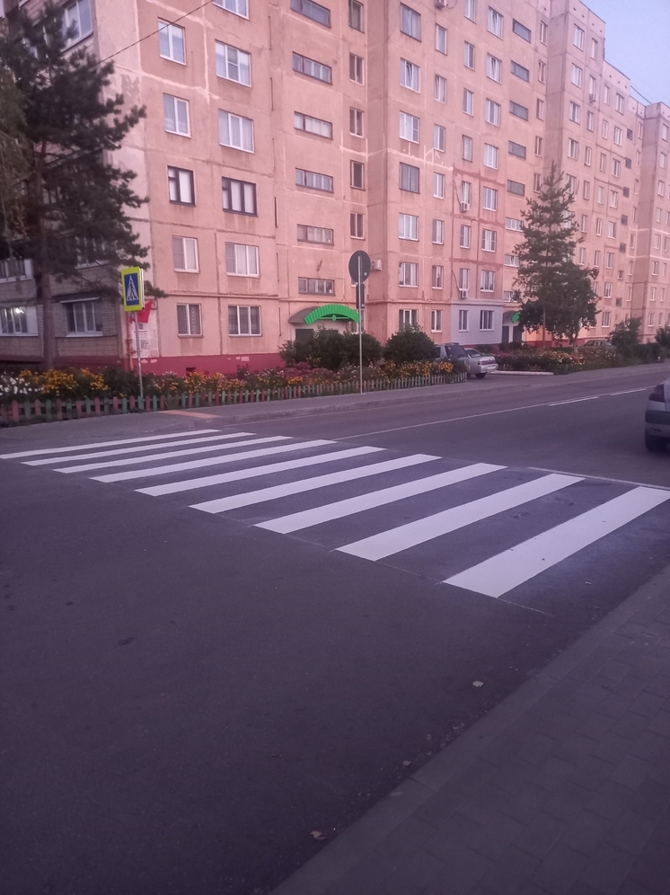 В Орле на улице Орловских партизан в Северном районе появились долгожданные пешеходные переходы