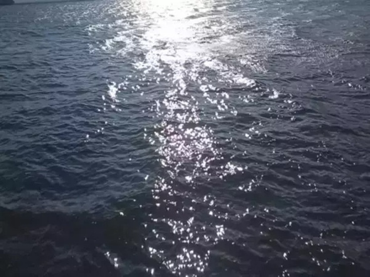 Над Азовским морем в ночь на 1 сентября ПВО сбила семь беспилотников