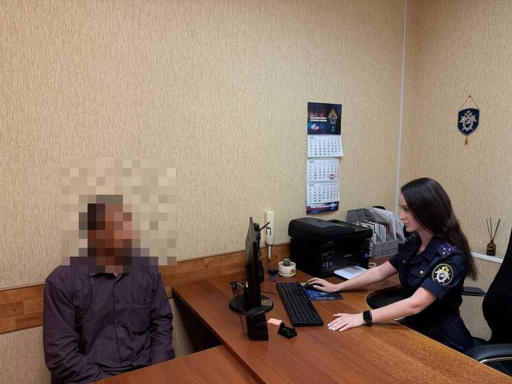 Бастрыкину доложат по делу о домогательствах приезжего к ребенку в Волгограде