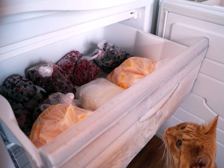 Раскрываю 3 хитрости при замораживании кабачков: будут как свежие при жарке, запекании и в рагу