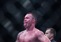 Турнир UFC должен пройти в 2026 году