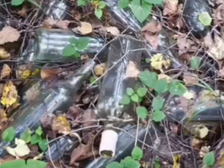 Глава боровской администрации рассказал про свой вечерний урожай