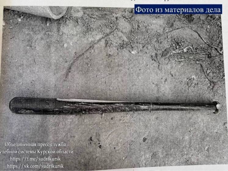 Молодой курянин обвиняется в жестоком избиении сожителя матери