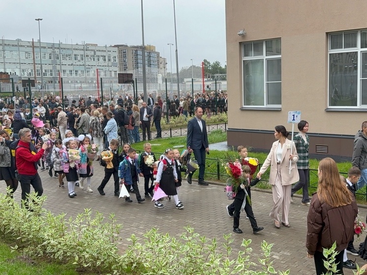 Опрос: 75% сибиряков считают, что школьников необходимо обучать использованию ИИ
