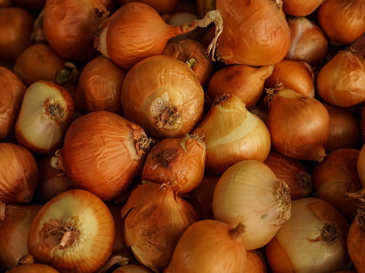 В Марий Эл выявлены ягоды и овощи, ввезенные для продажи с нарушением правил