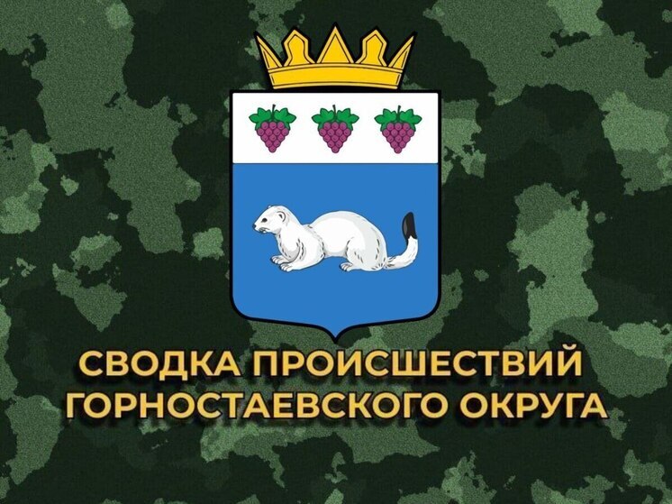 За сутки ВСУ 23 раза обстреляли Горностаевский муниципальный округ
