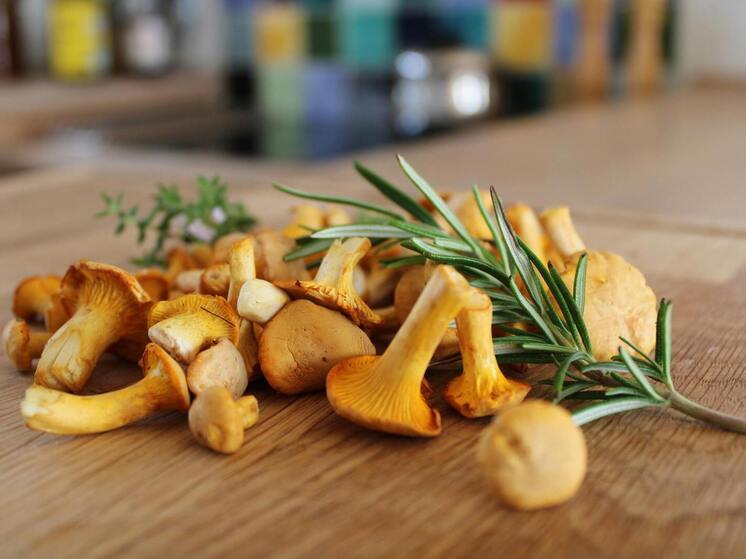 Нутрициолог Гузман: лисички улучшают сон и борются с паразитами в организме