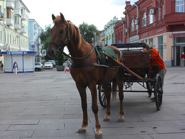 Самара стала еще уютнее и романтичнее