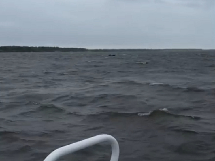 На Печоре спасатели обнаружили плывущую пустую лодку