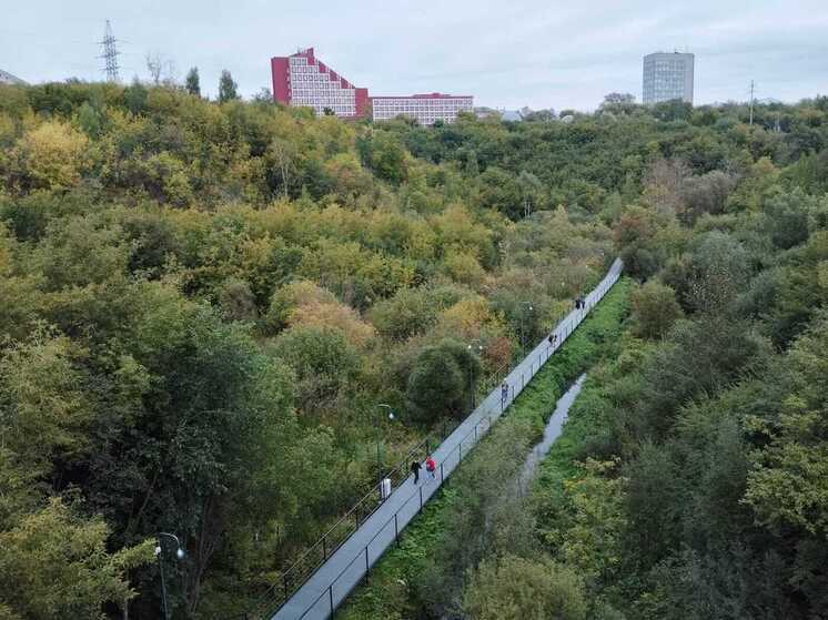 Первая неделя сентября в Перми будет умеренно прохладной
