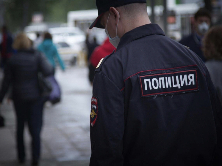 В Новосибирском Академгородке задержан мужчина, жонглировавший живым ежом на школьной линейке