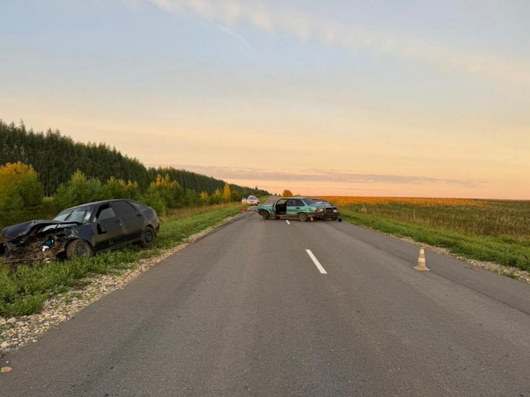 В последние летние выходные в Марий Эл 13 человек пострадали в ДТП, один погиб