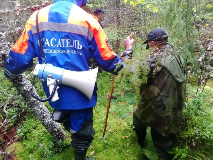 В Ленобласти спасатели и добровольцы нашли пожилого мужчину в лесу