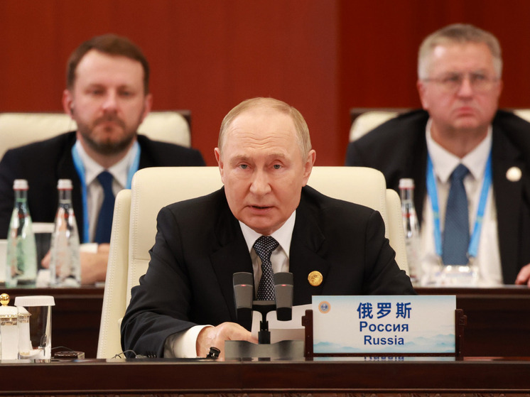 Отец Маска Эррол: Зеленский, в отличие от Путина, является диктатором