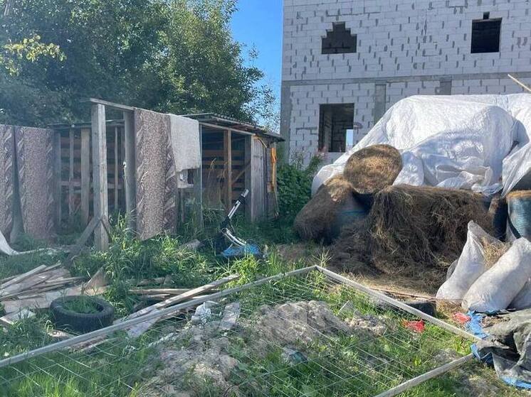 В Петербурге фермер нелегально разводил хрюшек и коров на жилом участке