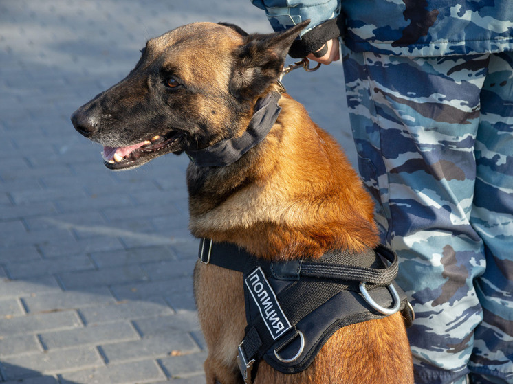 В Карталах супруги попались на торговле контрафактным алкоголем и сигаретами