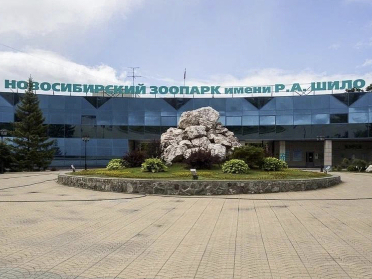 Новосибирский зоопарк перешёл на новый график работы
