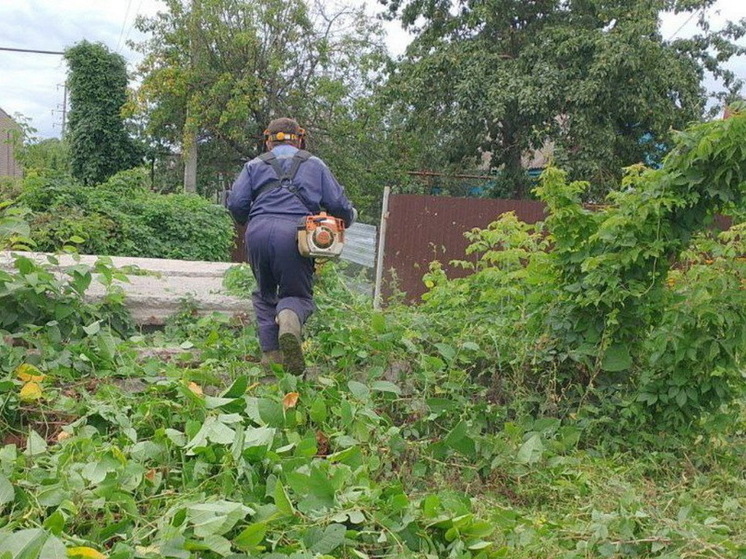 В Курске проверили больше 60 дворов и выявили 6 нарушений
