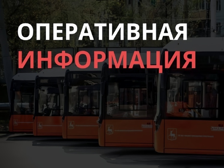 Троллейбусы в Нижнем Новгороде встали из-за обрыва кабеля