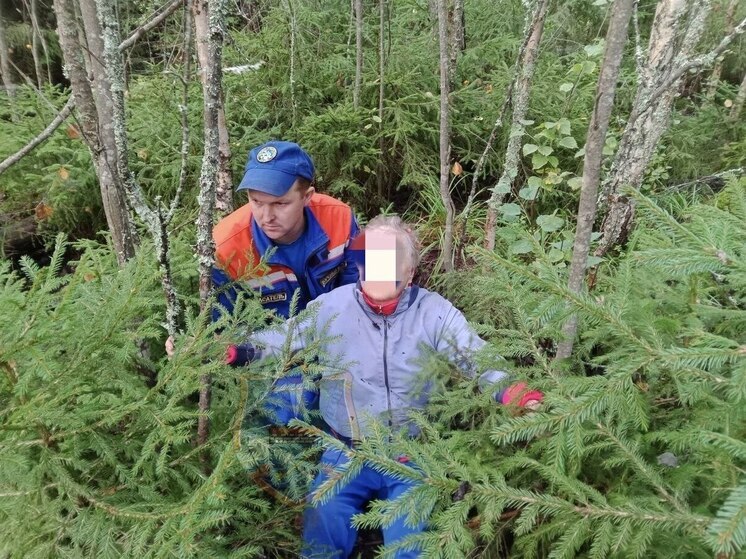 В лесу Приозерского района заблудилась женщина