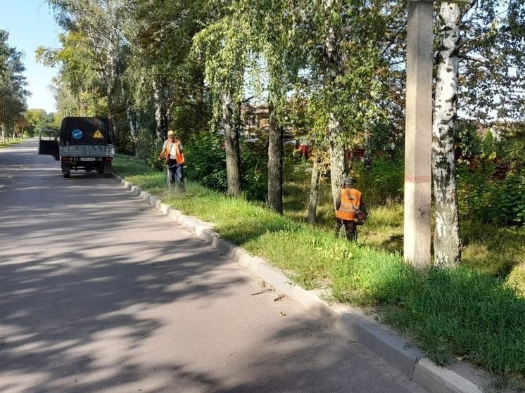 На улице Павлуновского в Курске появится «лежачий полицейский»