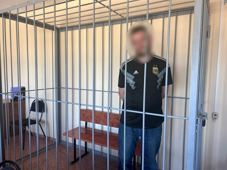 В Новомосковске арестован мужчина по делу о продаже гранаты