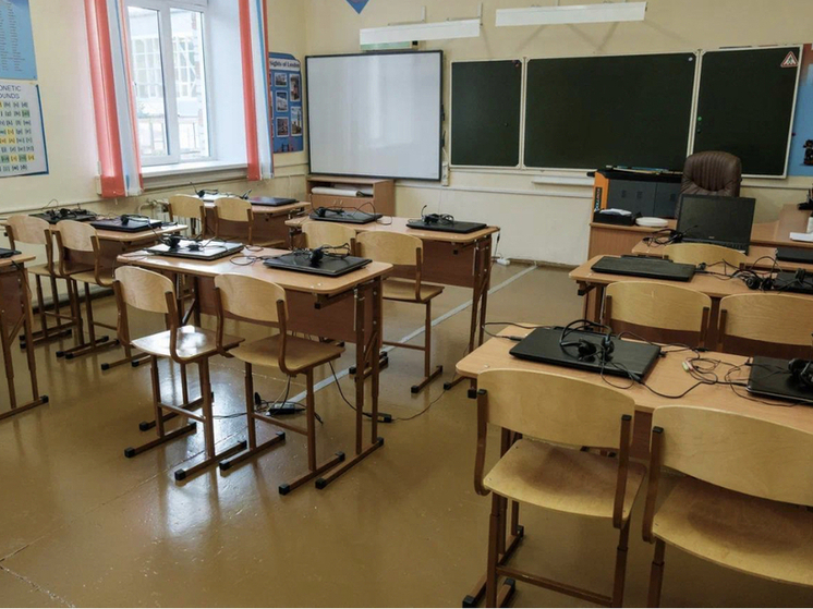 В школах Новосибирской области работают 390 профильных классов: от медицины до IT